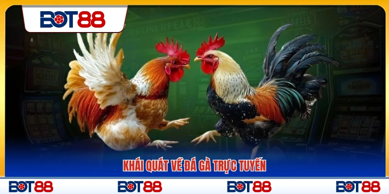 Tổng quan về hình thức đá gà trực tuyến