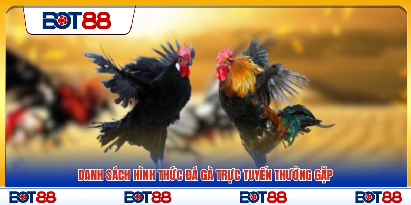 Các loại hình đá gà trực tuyến phổ biến